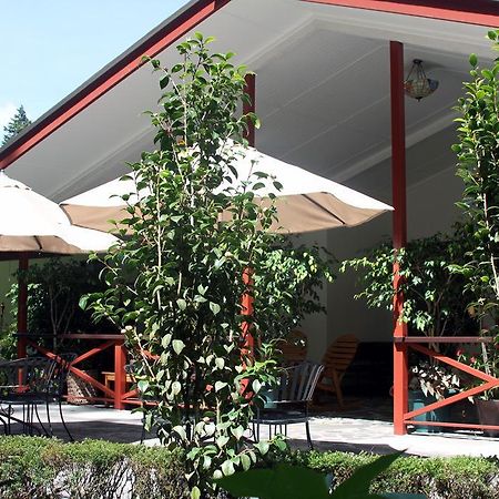 Cielito Sur Bed & Breakfast Inn Cerro Punta Bagian luar foto