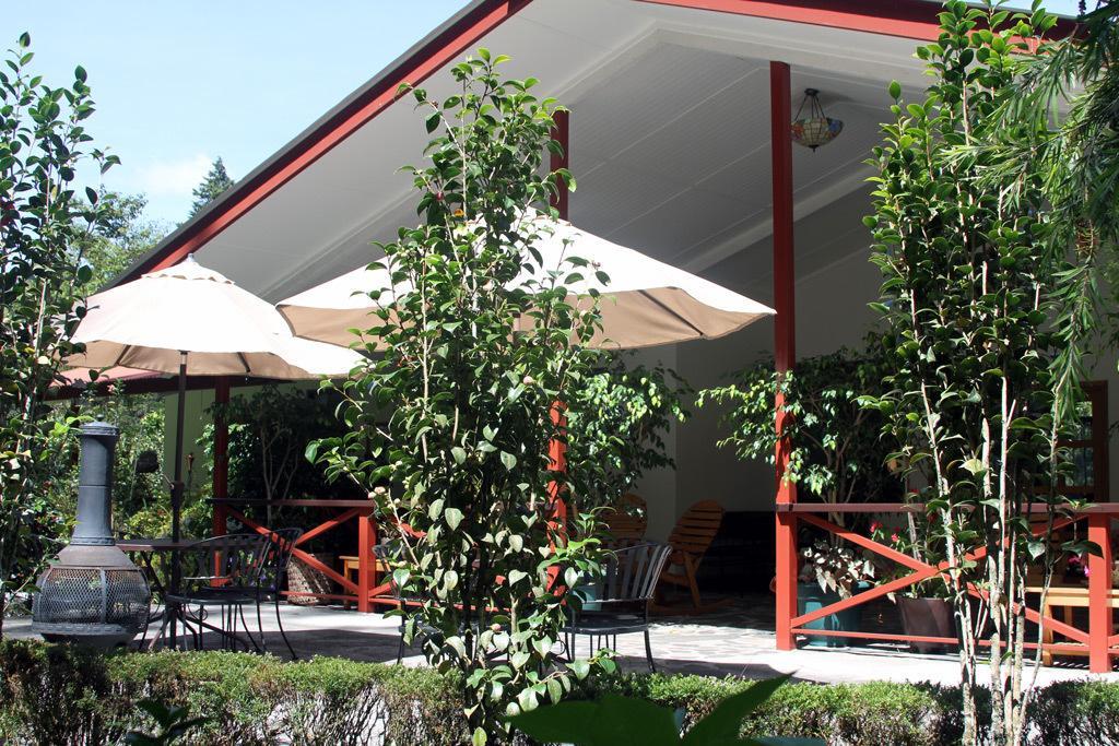 Cielito Sur Bed & Breakfast Inn Cerro Punta Bagian luar foto